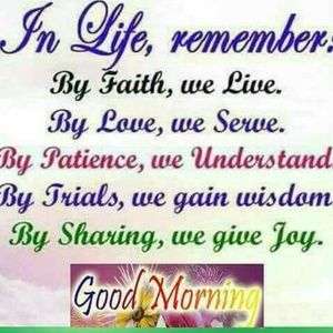 Meet your Posher, Jackson